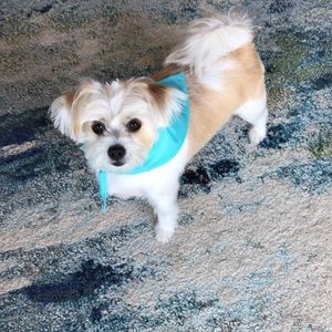 Meet your Posher, Brittany